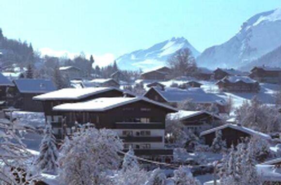 Appartment Thoral THO1C2 - Les Carroz d'Araches