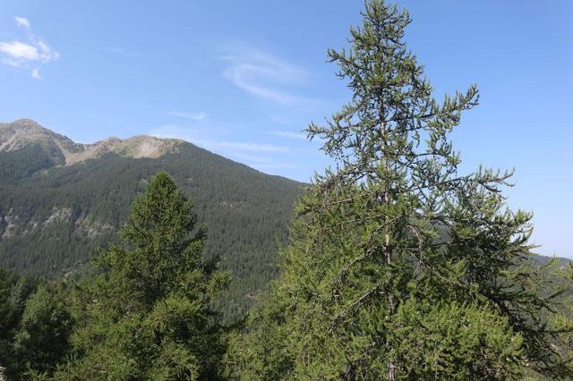 Appartment La Mazeliere 380 - Les Orres
