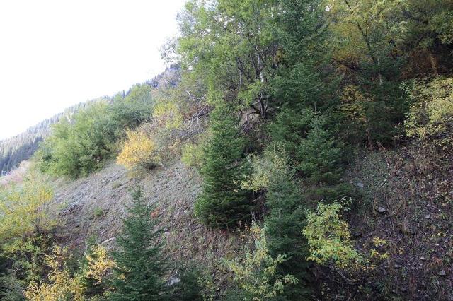Appartment Andromede ANA110 - Flaine Forêt 1700
