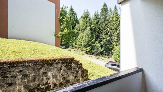 Apartements Grande Neige N°10 - 2P4 - Morillon 1100 Les Esserts