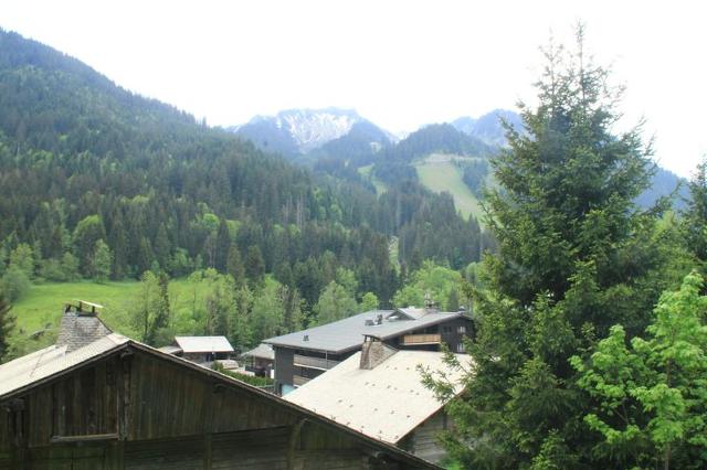 Apartements LES VOINETTES - Châtel