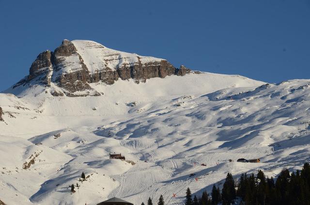 Apartements BALANCE - Flaine Forêt 1700