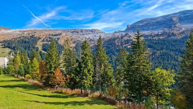 Apartements LES PLEIADES - Flaine Forêt 1700