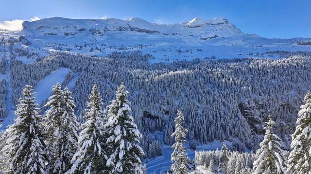 Apartements LES PLEIADES - Flaine Forêt 1700