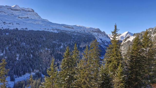 Apartements LES PLEIADES - Flaine Forêt 1700