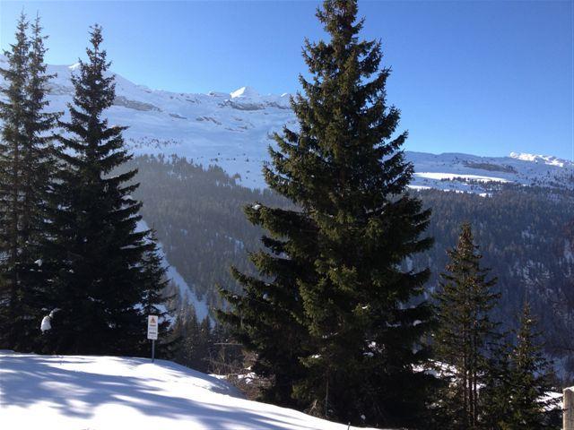 Apartements BELIER - Flaine Forêt 1700
