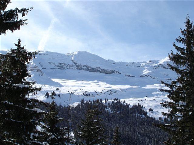 Apartements CASTOR - Flaine Forêt 1700