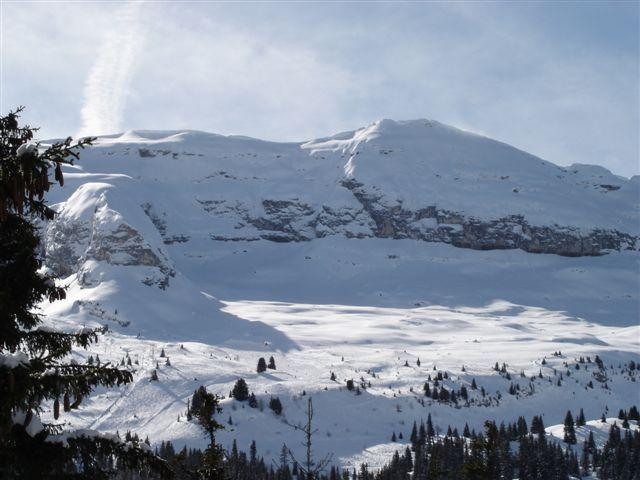 Apartements CASTOR - Flaine Forêt 1700