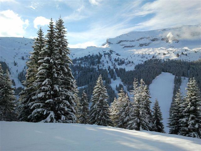 Apartements SAGITTAIRE - Flaine Forêt 1700