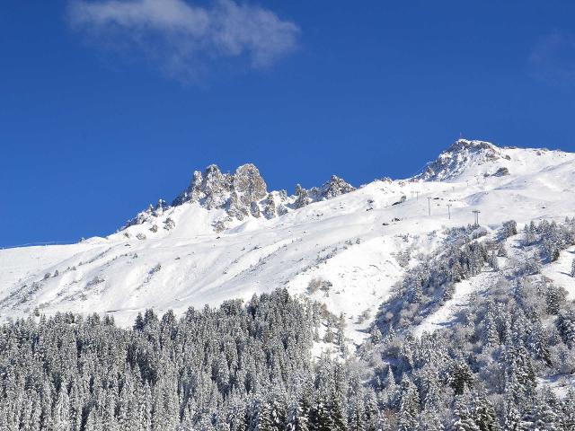 Apartments Res Aiguille Du Fruit - Méribel Mottaret 1850