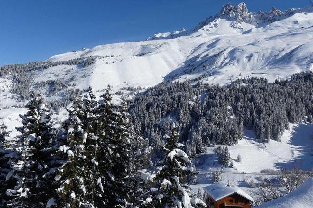 Apartements VANOISE - Méribel Mottaret 1850