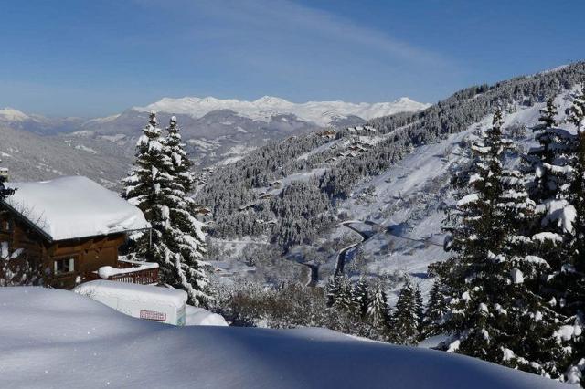 Apartements VANOISE - Méribel Mottaret 1850