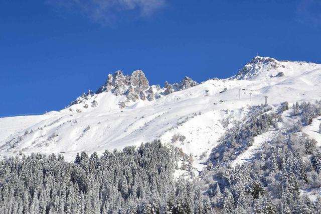 Apartements VANOISE - Méribel Mottaret 1850
