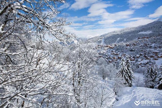 Apartements ALPINEA - Méribel Mottaret 1850