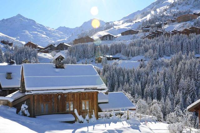 Apartements ALPINEA - Méribel Mottaret 1850