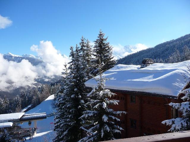 Apartements GRAND BOIS - La Tania