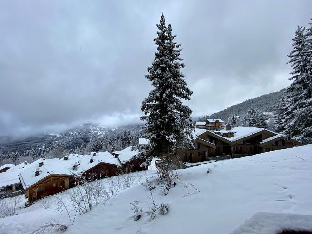 Apartements GRAND BOIS - La Tania