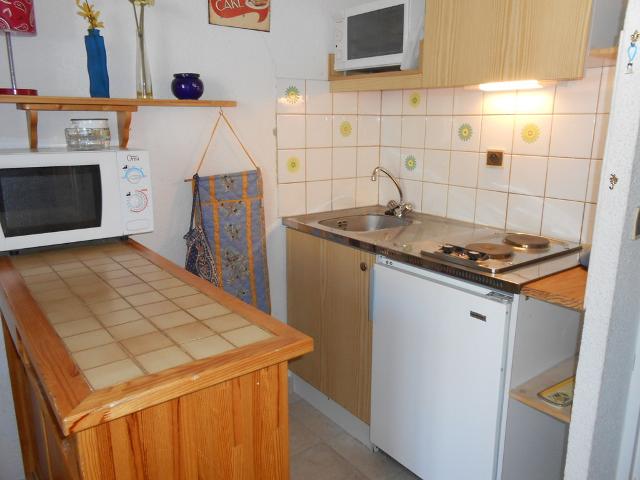 Apartements ANDROMEDE - Les Deux Alpes Venosc