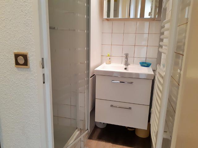 Apartements ANDROMEDE - Les Deux Alpes Venosc
