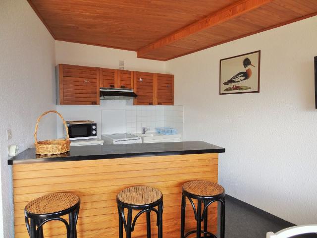 Apartements MIDI - Les Deux Alpes Venosc