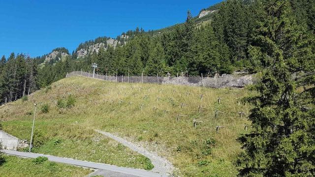 RESIDENCE DE LA FORET - Flaine Forêt 1700