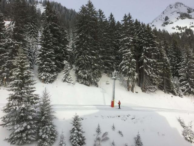 RESIDENCE DE LA FORET - Flaine Forêt 1700