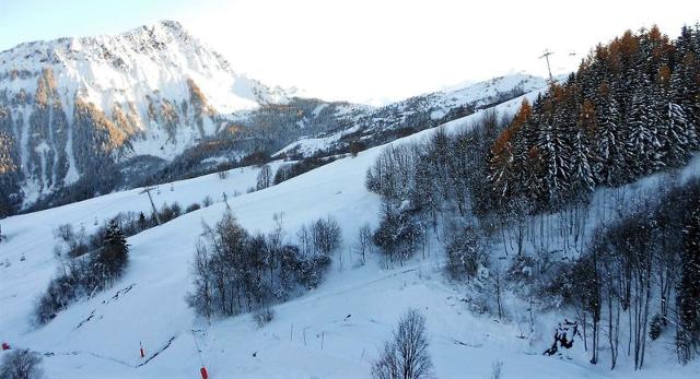 travelski home choice - Apartements ZODIAQUE - Le Corbier