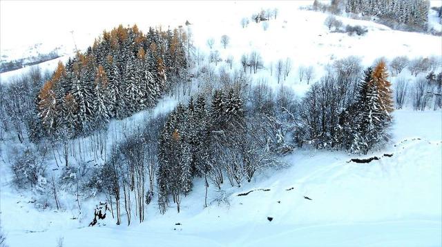travelski home choice - Apartements VOSTOK - Le Corbier