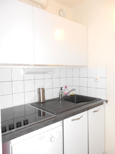 Apartements PHENIX - Le Corbier