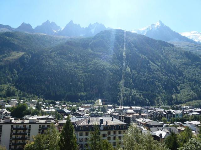 Apartements MAJESTIC - Chamonix Centre