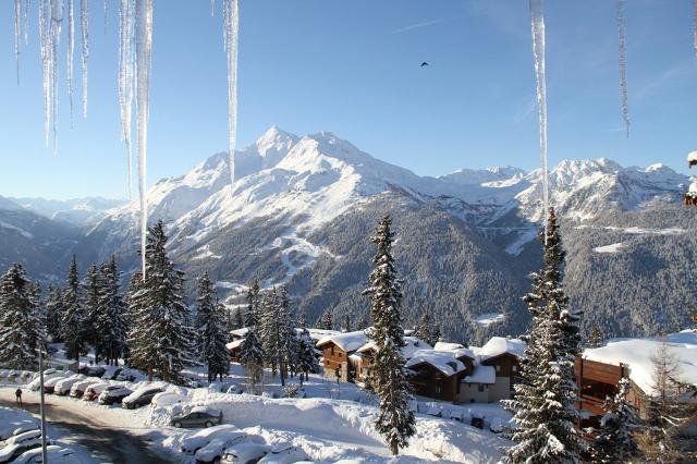 Apartments Bouquetins A - La Rosière