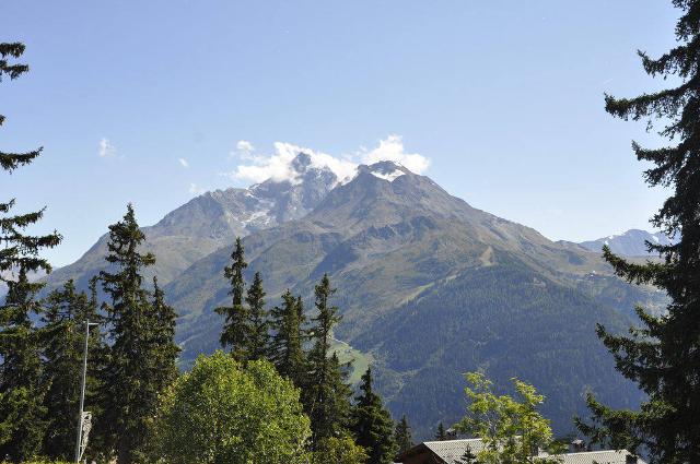 Apartments Bouquetins A - La Rosière