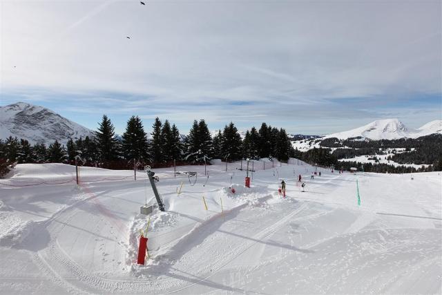 Apartements SASKIA - Avoriaz