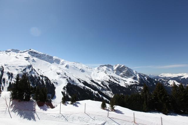 Apartements SASKIA - Avoriaz