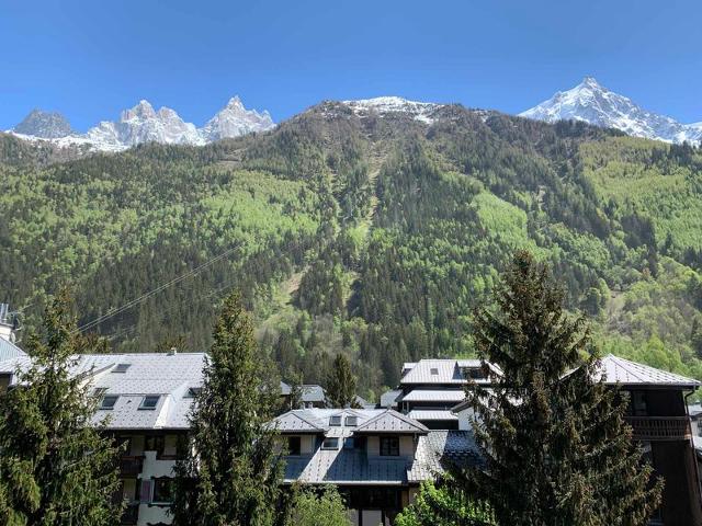 Apartements RIVIERE - Chamonix Sud