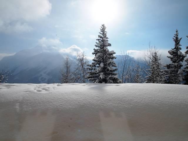 travelski home choice - Apartements LA VANOISE - La Rosière