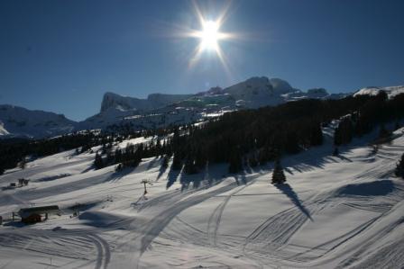 LES CHALETS DE SUPERD FRAXINELLE - Superdévoluy