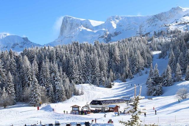 LES CHALETS DE SUPERD FRAXINELLE - Superdévoluy