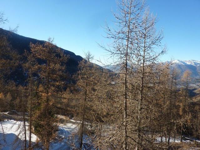 Appartment Le Silhourais 336 - Les Orres