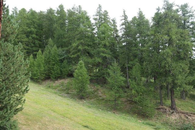 Appartment L'eperviere 344 - Les Orres