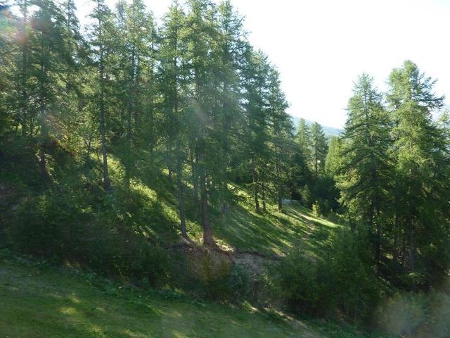 Appartment L'eperviere 357 - Les Orres