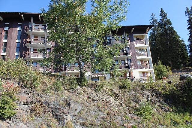 Les Bouquetins B BB106 - La Rosière