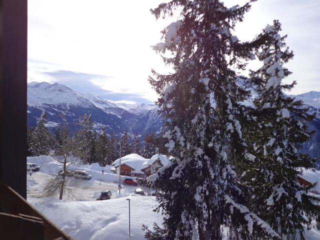 Les Bouquetins B BB316 - La Rosière