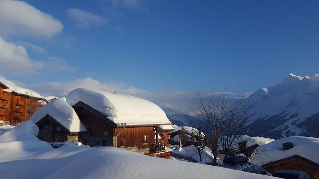 Les Barillons BARI2 - La Rosière