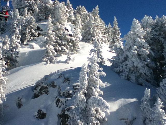 Bright renovated studio, balcony, pets welcome FR-1-340-154 - Chamrousse