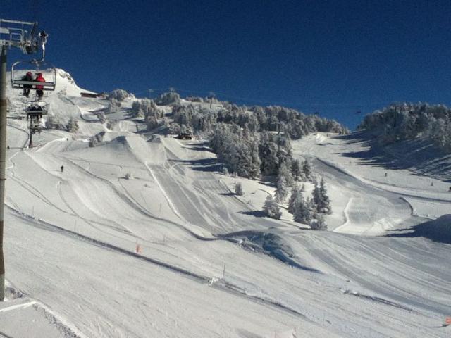 Ski-in/Ski-out 2-Room Apt, Sleeps 6, South-Facing Terrace FR-1-340-149 - Chamrousse