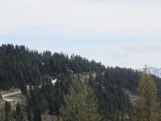 Résidence LES DAUPHINS - Chamrousse