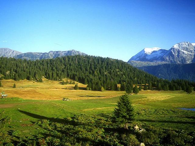 Résidence LES DAUPHINS - Chamrousse