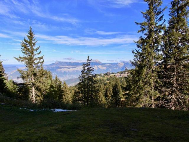 Cozy Studio for 3, Ski-In/Ski-Out, Balcony, Pet-Friendly, Ski Locker FR-1-340-124 - Chamrousse
