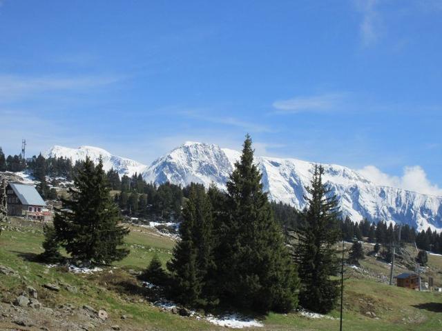 Cozy Studio for 4, Well-Equipped, Ski-in/Ski-out Location FR-1-340-99 - Chamrousse